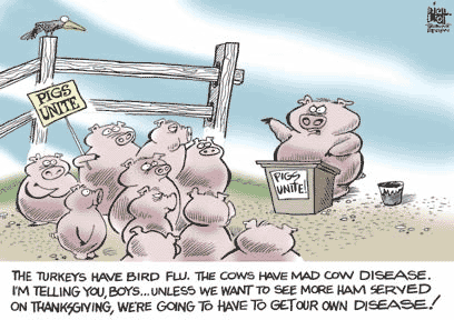 swine flu